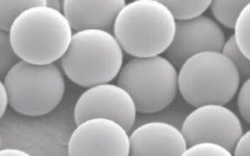 Polymer-Co-Polymer Bead Suspensions